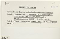 登錄號:L00005439藏品圖，第2張