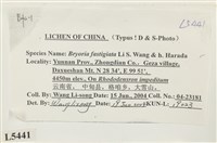 登錄號:L00005441藏品圖，第2張