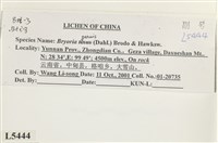 登錄號:L00005444藏品圖，第2張