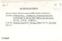 登錄號:L00005445藏品圖，第2張