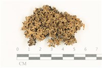 登錄號:L00005447藏品圖，第1張