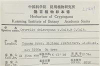 登錄號:L00005449藏品圖，第2張