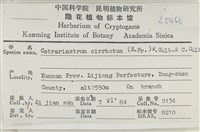 登錄號:L00005466藏品圖，第2張