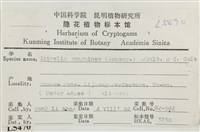 館號:L00005470藏品圖，第2張