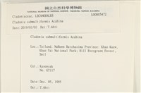 登錄號:L00005472藏品圖，第2張