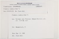 登錄號:L00005475藏品圖，第2張
