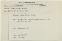 登錄號:L00005476藏品圖，第2張