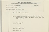登錄號:L00005477藏品圖，第2張