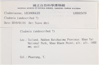 登錄號:L00005479藏品圖，第2張
