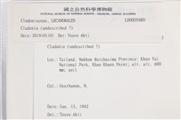 登錄號:L00005480藏品圖，第2張