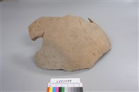 陶片藏品圖，第2張