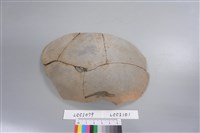 陶片藏品圖，第3張