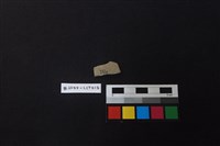 陶片藏品圖，第2張