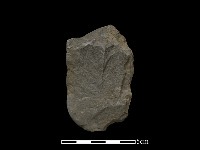 斧鋤形器藏品圖，第1張