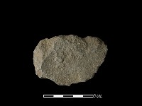 石片藏品圖，第1張