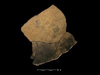 陶罐藏品圖，第2張