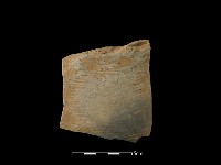 陶片藏品圖，第2張