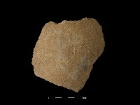 陶片藏品圖，第1張