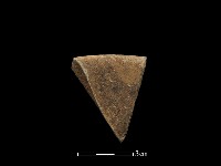 陶片藏品圖，第2張