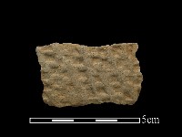 陶片藏品圖，第1張