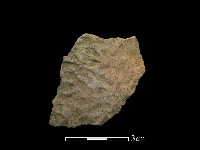 陶片藏品圖，第1張