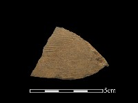 陶片藏品圖，第1張