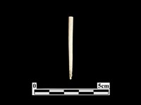 骨針藏品圖，第1張