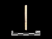 骨針藏品圖，第1張