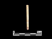 骨針藏品圖，第2張