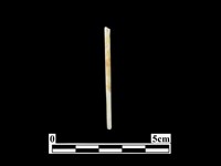 骨針藏品圖，第1張