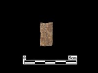 骨器藏品圖，第2張