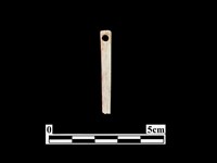 骨針藏品圖，第2張