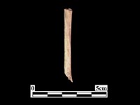 骨器藏品圖，第2張