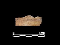 骨器藏品圖，第1張