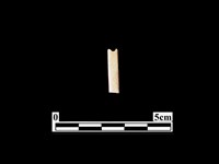 骨針藏品圖，第2張