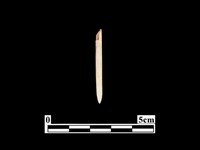 骨針藏品圖，第1張