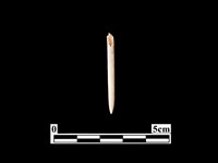 骨針藏品圖，第2張