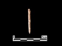 骨針藏品圖，第1張