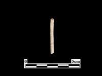 骨器藏品圖，第1張