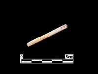 骨針藏品圖，第2張