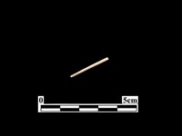 骨針藏品圖，第1張