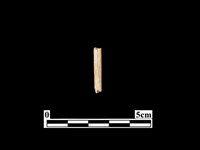 骨器藏品圖，第1張