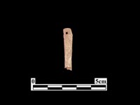 骨針藏品圖，第2張