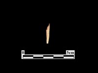 骨器藏品圖，第1張