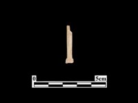 骨鏃藏品圖，第1張