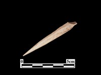 骨鏃藏品圖，第2張