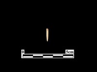 骨針藏品圖，第1張