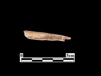 骨器藏品圖，第2張