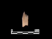 骨器藏品圖，第2張