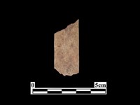 骨器藏品圖，第2張